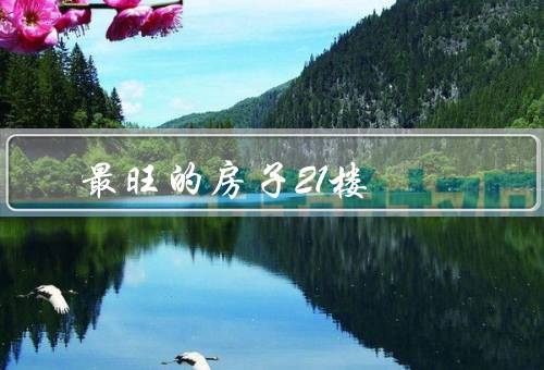 风水最旺的房子21楼，方位、阳光、居住环境