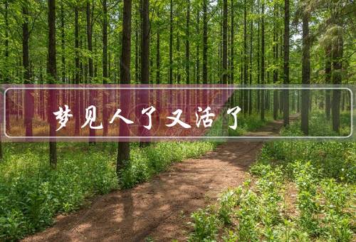 梦见人死了又活了，亲人了又活了、朋友了又活了、陌生人了又活了