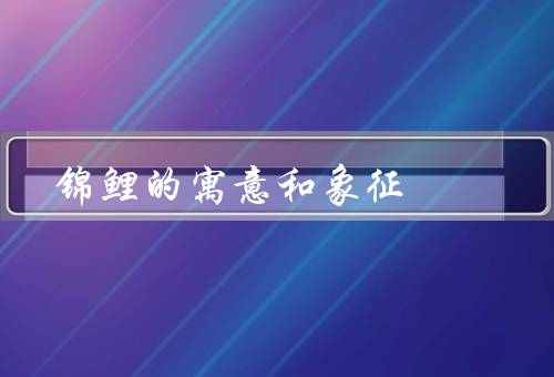 锦鲤的寓意和象征，美丽和繁衍能力、好运和幸运、顽强和坚韧