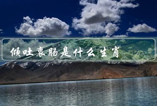 倾吐衷肠是什么生肖（巨蟹座／天蝎座／双鱼座）