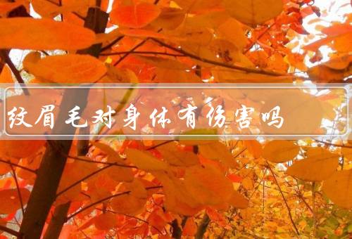 纹眉毛对身体有伤害吗，导致感染／引起过敏反应／可能导致色素沉积