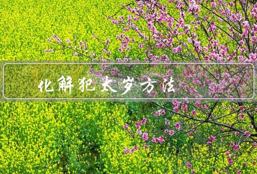 化解犯太岁最佳方法，犯太岁的影响／选择合适的吉祥物