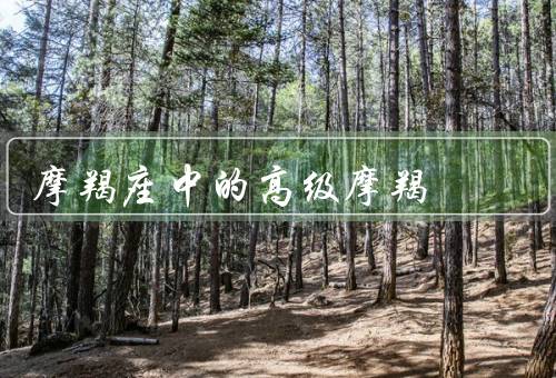 摩羯座中的高级摩羯（事业追求／坚韧不拔／追求卓越）