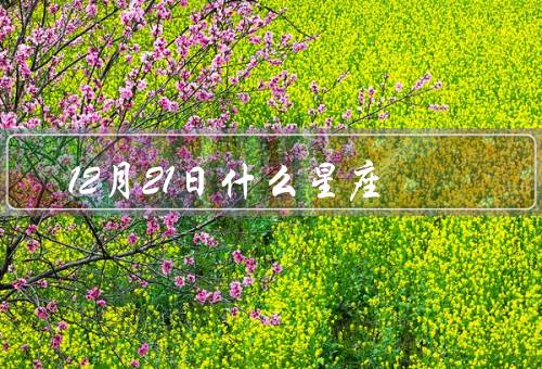12月21日什么星座（性格特点／事业与财运／爱情与婚姻）