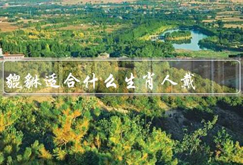貔貅适合什么生肖人戴（鼠、龙、狗）