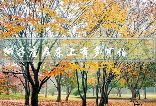 狮子座在床上有多可怕，自信／控制欲／虚荣心