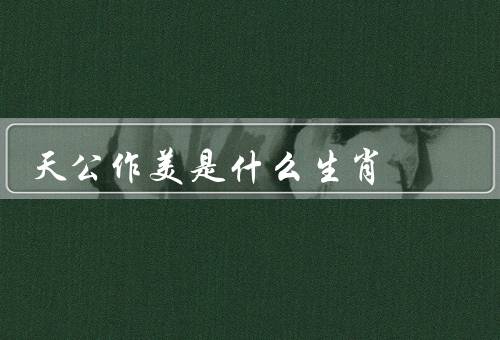 天公作美是什么生肖（天公作美／生肖属猪／喜好自然）