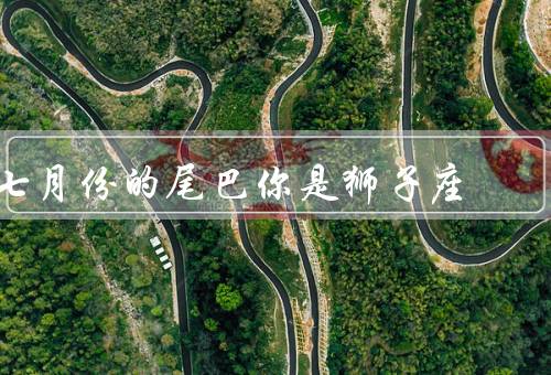 七月份的尾巴你是狮子座（事业上的突破／感情上的变化）