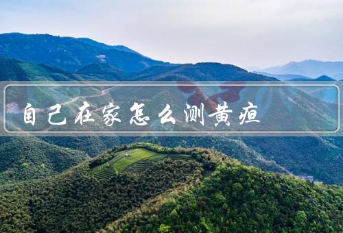自己在家怎么测黄疸（黄疸的定义、自我观察、白纸法）