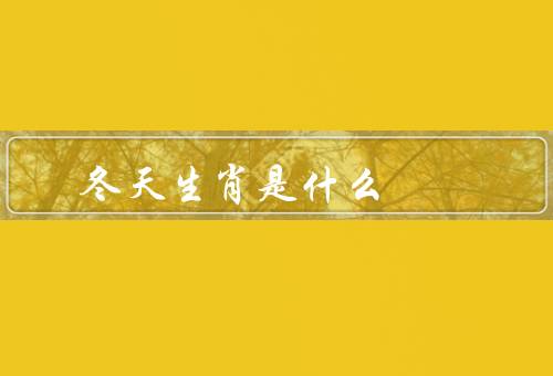 冬天最佳生肖是什么，特点／适应能力／象征意义