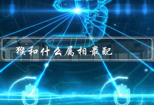 猴和什么属相最配（聪明活泼／开朗乐观／团结合作）