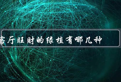 客厅旺财的绿植有哪几种（仙人掌／常春藤／龙竹）