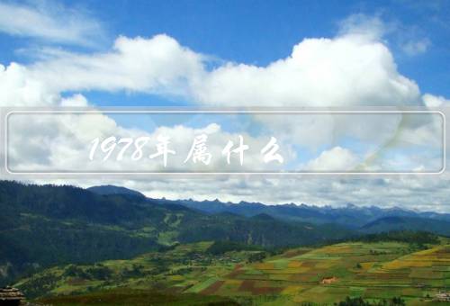 1978年属什么，背景／开端／成果