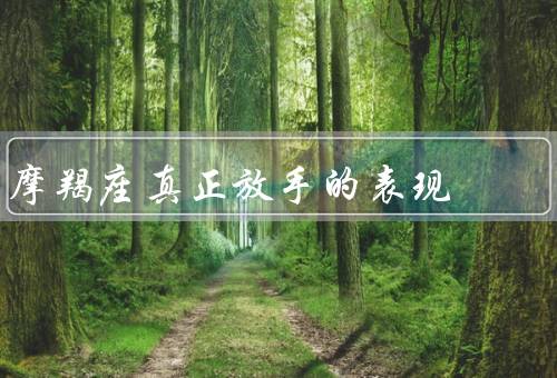摩羯座真正放手的表现，坦然面对／释然心情／转变态度