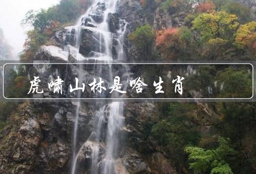 虎啸山林是啥生肖（特点／在中国文化中的地位／虎啸山林）