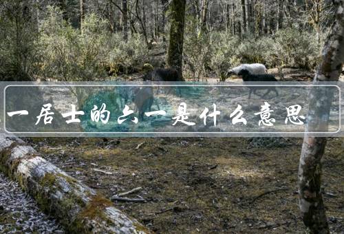 六一居士的六一是什么意思（背景、贡献、影响）