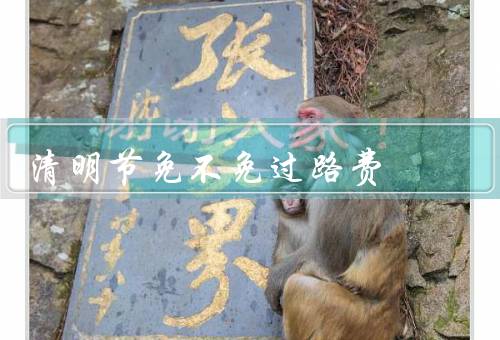 清明节免不免过路费，清明节免过路费的政策／部分地区的特殊政策