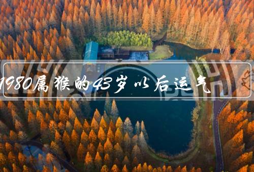 1980属猴的43岁以后运气，事业发展、财运变化、家庭生活