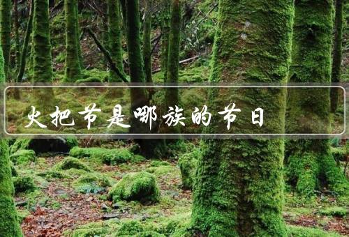 火把节是哪族的节日，起源／庆祝活动／意义