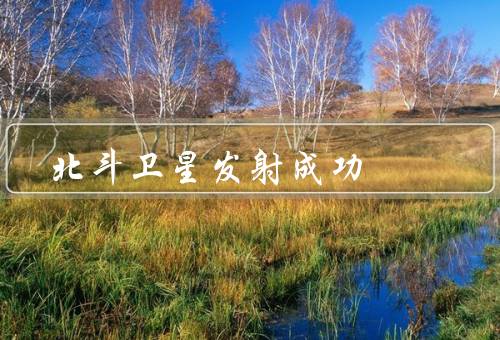 北斗卫星发射成功，卫星发射成功／重要性／未来发展