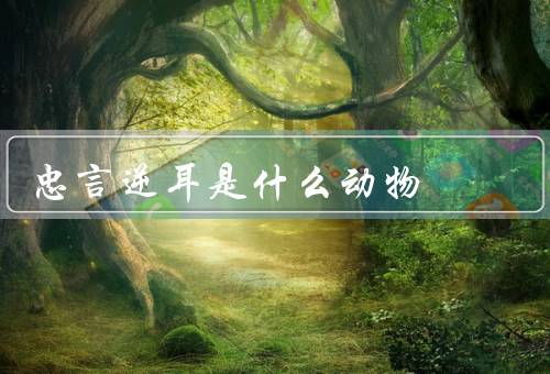 忠言逆耳是什么动物，特征、习性、保护