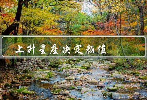 上升星座决定颜值（颜值／气质／运势）