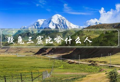 狡兔三窟比喻什么人，狡兔三窟／伪装欺骗／多变的态度