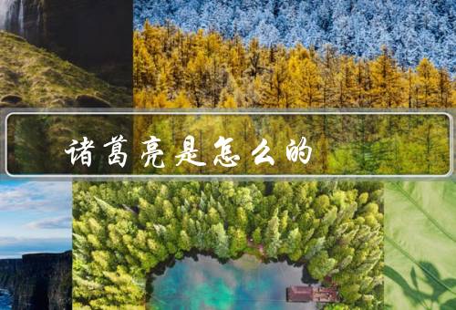 诸葛亮是怎么死的，之一／之二／之三
