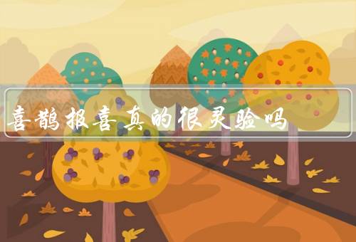 喜鹊报喜真的很灵验吗（来历／信仰／科学解释）