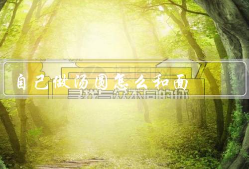 自己做汤圆怎么和面（准备材料／揉面／静置面团）