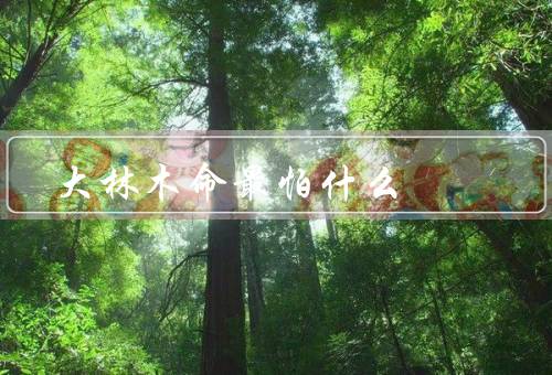 大林木命最怕什么，环境恶劣／病虫害／人为破坏