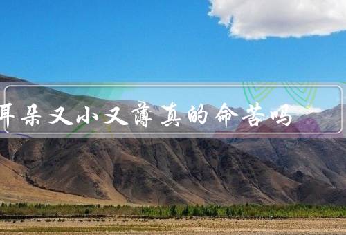 耳朵又小又薄真的命苦吗，小耳朵的魅力