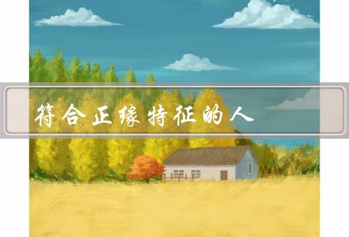 符合正缘特征的人，相互吸引、共同的目标、互相理解