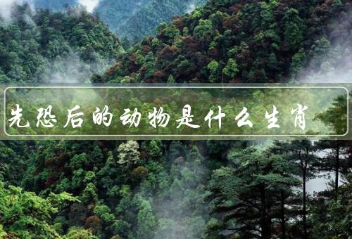 争先恐后的动物是什么生肖，特点／争先恐后象征／象征意义
