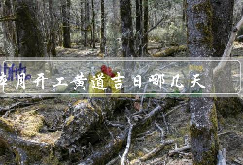 本月开工黄道吉日哪几天，意义／如何选择
