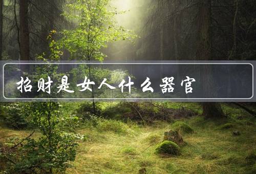 招财是女人什么器官（之眼、之心、之手）