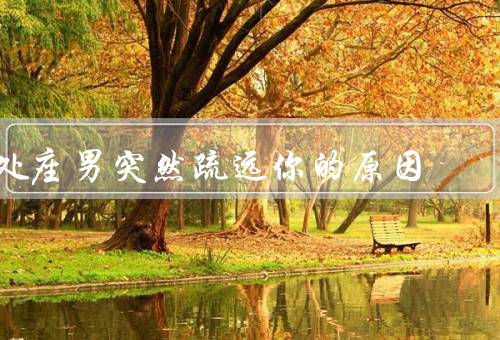 处座男突然疏远你的原因（兴趣减弱、遇到了其他困扰、期望有所改变）