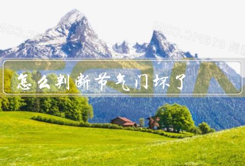 怎么判断节气门坏了，怠速不稳定、加速不畅、燃油经济性下降
