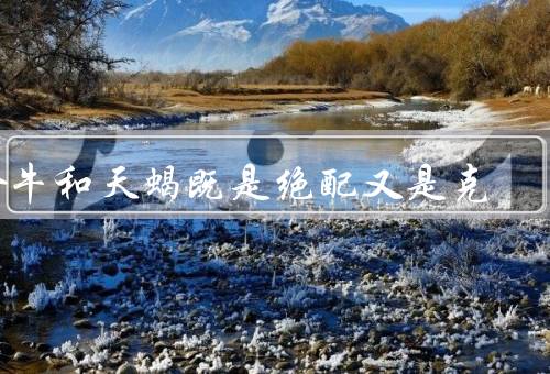 金牛和天蝎既是绝配又是死克，稳定与天蝎的热情、执着与天蝎的控制