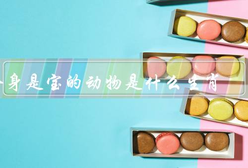 全身是宝的动物是什么生肖（全身是宝生肖动物、传说、象征意义）