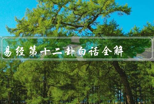 易经第十二卦白话全解，解析／形象／引申意义