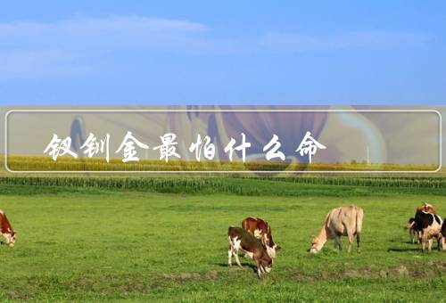 钗钏金最怕什么命，凶命／穷命／病命