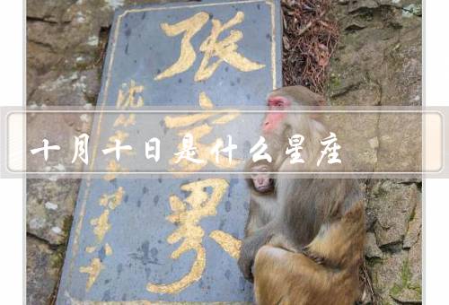 十月十日是什么星座，天秤座的特点／个人关系／职业发展
