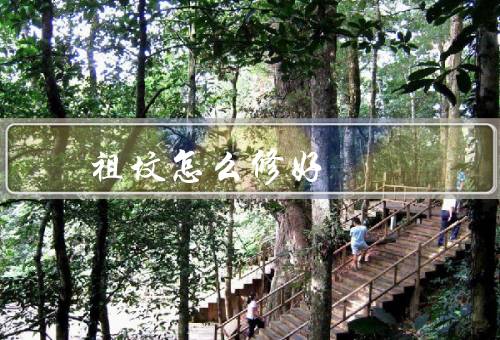 祖坟怎么修风水好，选址要宜、布局要合理、装饰要得宜