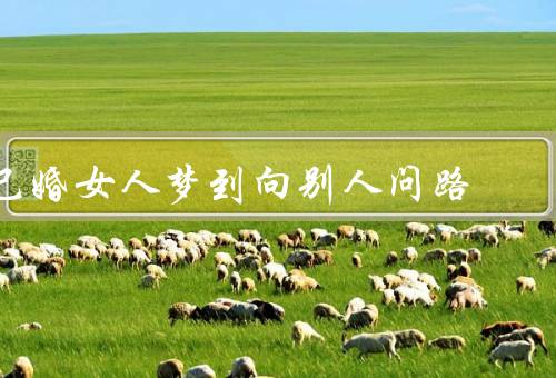已婚女人梦到向别人问路（迷失方向／外界影响／重新寻找）