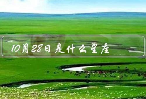 10月28日是什么星座，特点、爱情观、事业发展