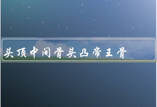 头顶中间骨头凸帝王骨（形态特征、功能、与人类智慧进化之间关系）
