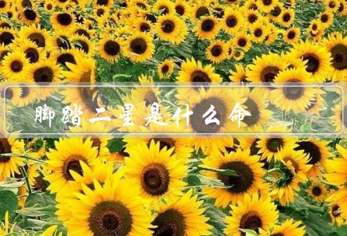脚踏二星是什么命，定义／特征／面对生活态度