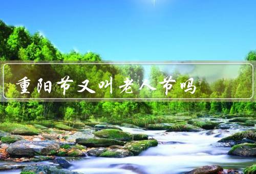 重阳节又叫老人节吗（由来／尊敬老人习俗／意义）