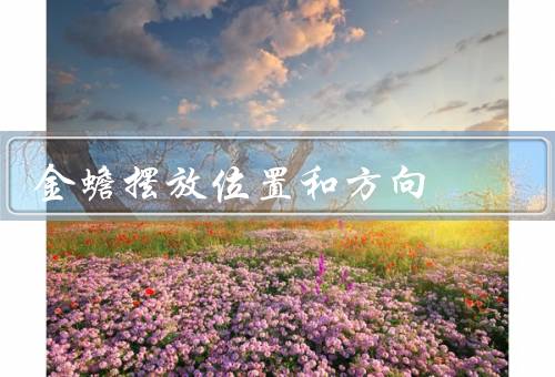 金蟾摆放位置和方向（位置选择／方向／禁忌）